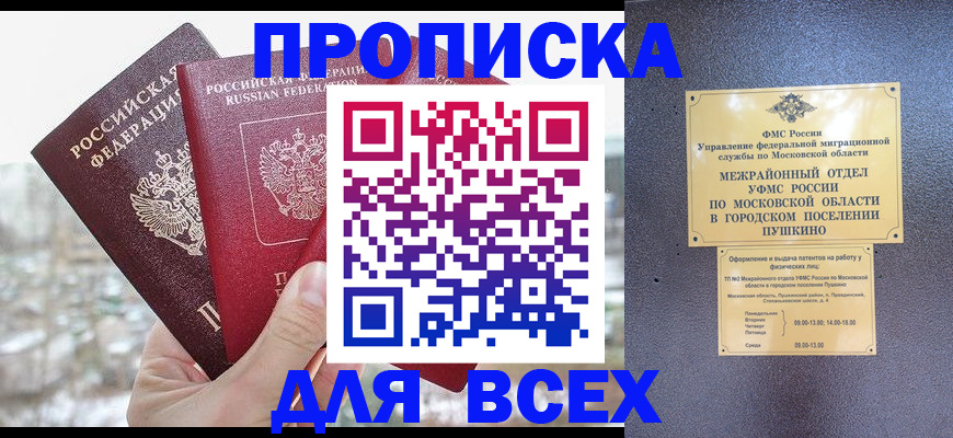 прописка в квартире в Лосино-Петровском